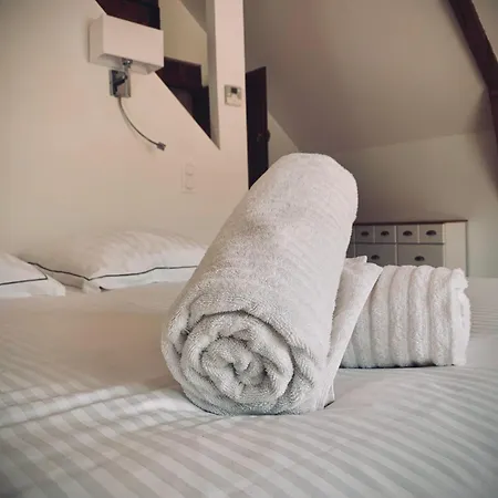 Tatil Evi Le Moulin Du Chateau De Horgues