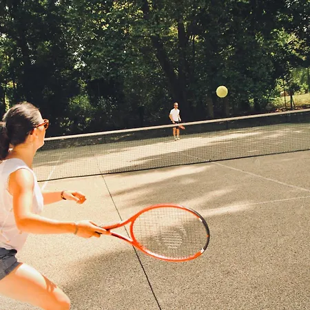 Le Moulin Du Chateau De * Horgues