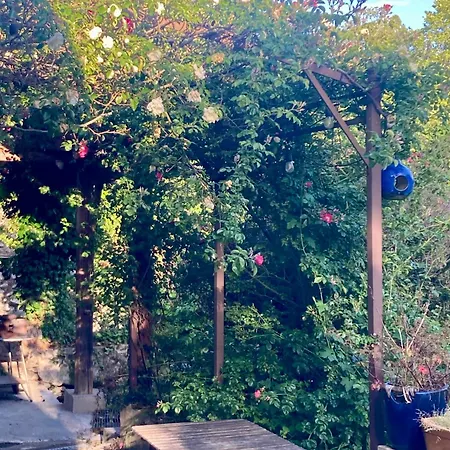 Tatil Evi Le Moulin Du Chateau De *